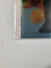 Load image into Gallery viewer, Image #13