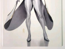 Load image into Gallery viewer, Image #13
