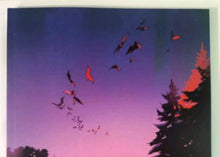 Load image into Gallery viewer, Image #12
