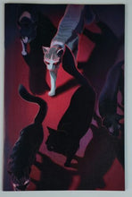 Load image into Gallery viewer, Image #1
