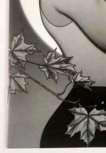 Load image into Gallery viewer, Image #6
