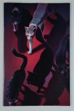 Load image into Gallery viewer, Image #2
