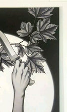 Load image into Gallery viewer, Image #5
