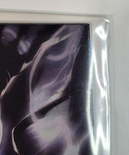 Load image into Gallery viewer, Image #12
