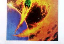 Load image into Gallery viewer, Image #13
