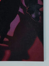 Load image into Gallery viewer, Image #7
