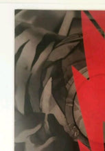 Load image into Gallery viewer, Image #8
