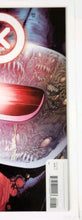 Load image into Gallery viewer, Image #13
