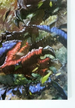 Load image into Gallery viewer, Image #7
