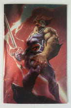 Load image into Gallery viewer, Image #12
