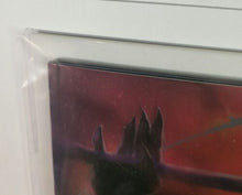 Load image into Gallery viewer, Image #9
